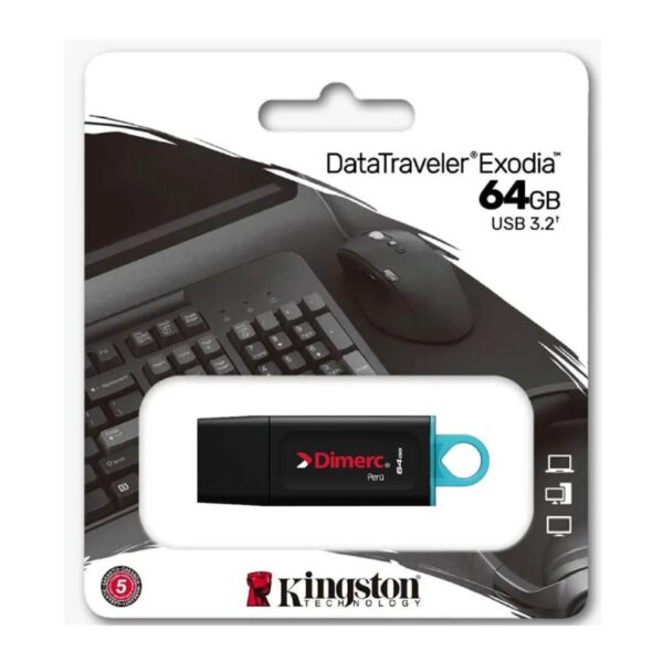 USB KINGSTOM 64GB